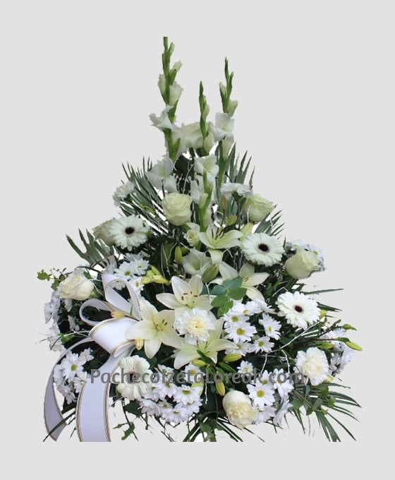 Centro para funeral Margaritas y Gerberas especial para tanatorios