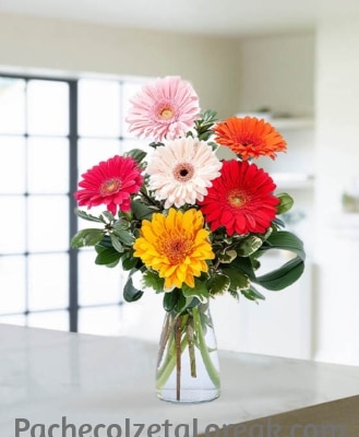 Envío de ramos de flores a domicilio en Oiartzun Ramo colorido